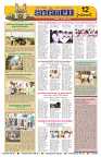 Marokiranalu Daily 10-08-2024 pages_12